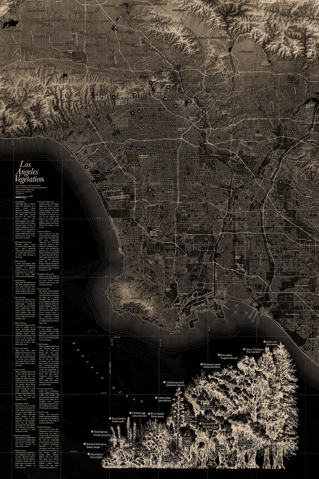 Los Angeles Vegetation Map Print — photo 2