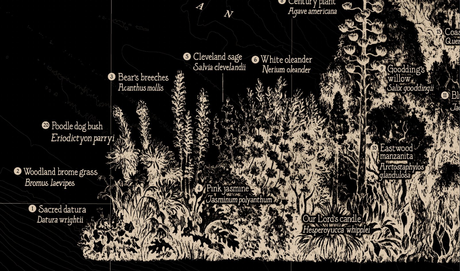 Los Angeles Vegetation Map Print — photo 5