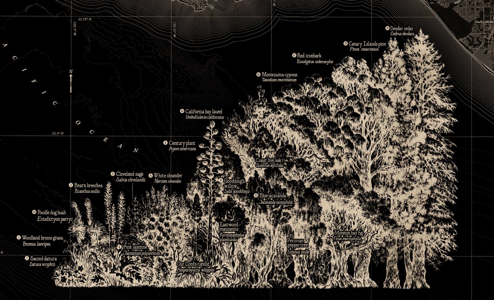 Los Angeles Vegetation Map Print — photo 8